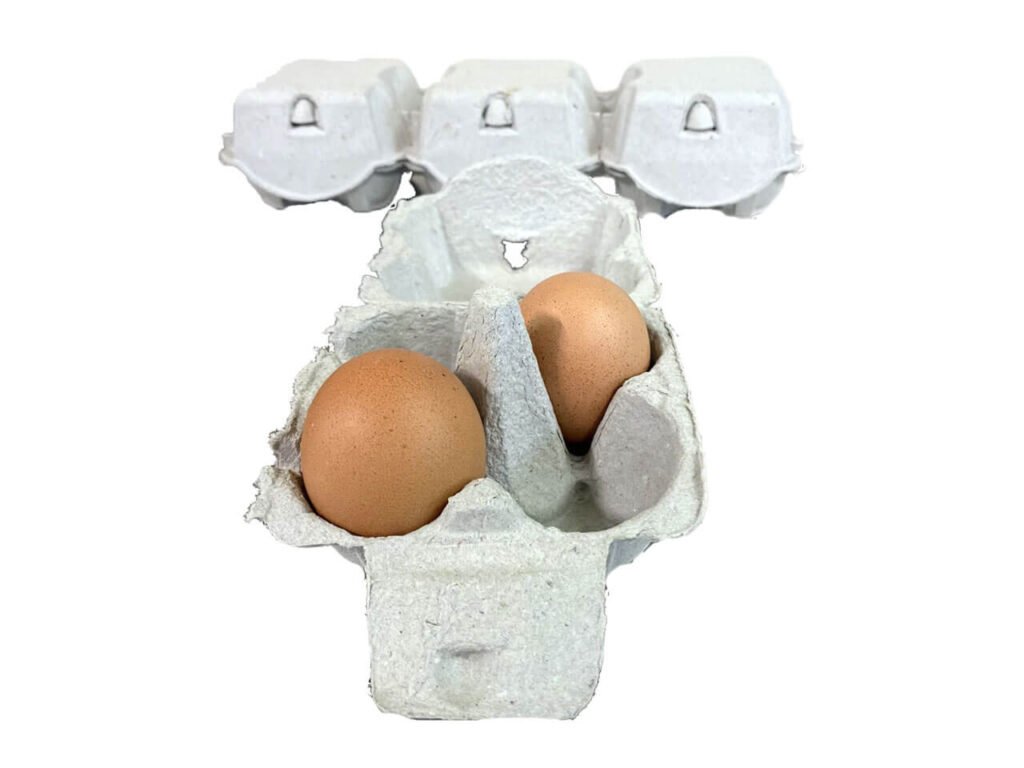 confezioni da 4 uova cartone